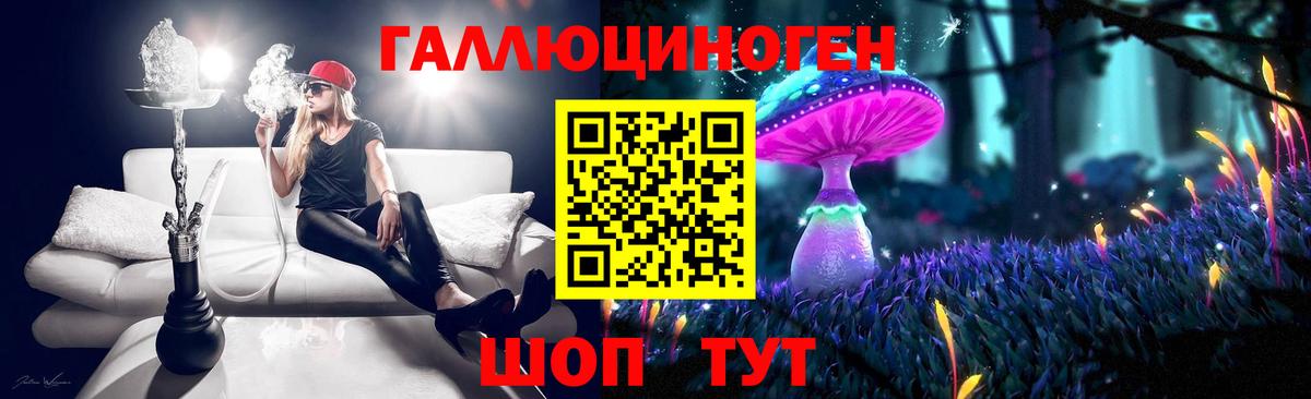 Псилоцибиновые грибы Psilocybe  Вход с VPN  Гусев 